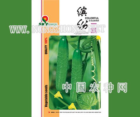 缤纷一簇
